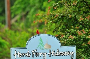 cardinal-on-sign-horns-ferry-hideaway      
